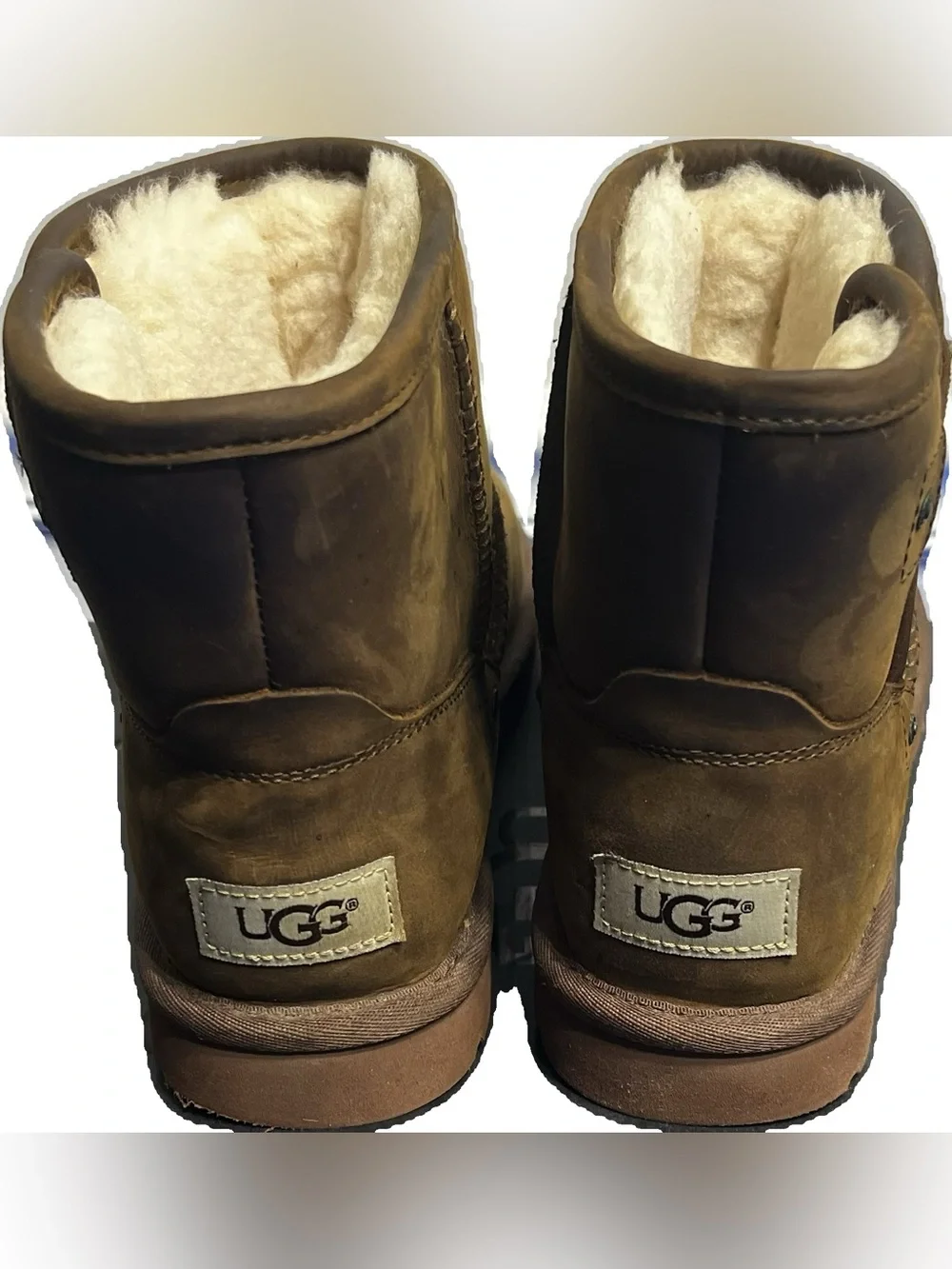 UGG Men's Chestnut Shearling Short Boot